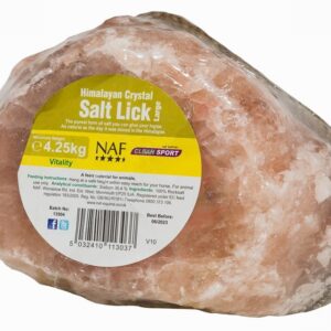 NAF HIMALAYAN SALT LICK LRG