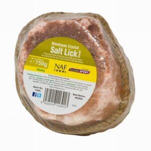 NAF HIMALAYAN SALT LICK SML