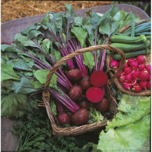 Kings Seeds Beetroot Boltardy RHS AGM