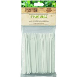 Plant Labels 13cm 5" 50 pk