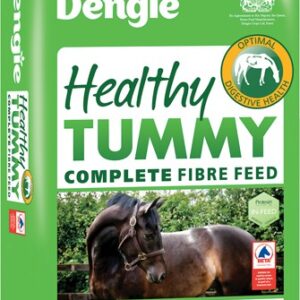 Dengie Healthy Tummy