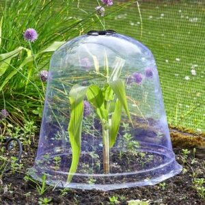 Jumbo Bell Cloche 33.5cm Dia 30cm H