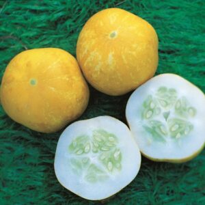 Kings Seeds Cucumber Crystal Lemon