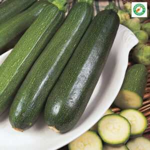 Kings Seeds Courgette All Green Bush