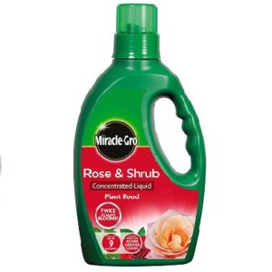 Miracle Gro Rose & Shrub Conc. 800ml