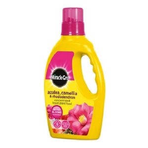 Miracle-Gro Ericaceous 800ml
