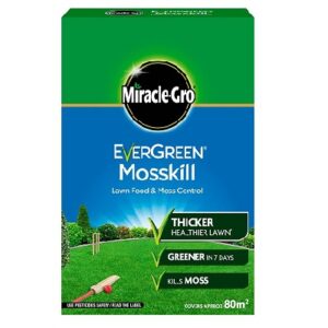 Evergreen Mosskill with Lawn Food 80m