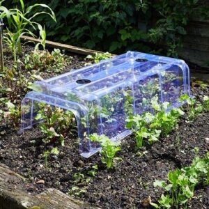 Clear Cloche 86cm x 40cm x 22cm