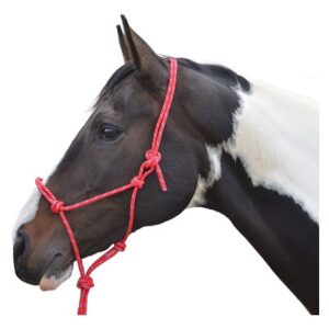 Hy Rope Halter Red Cob / Full