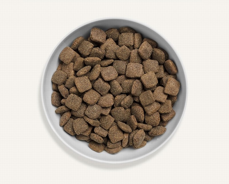 Canagan Grass Fed Lamb For Dogs 2kg - Image 2