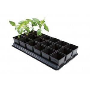 Professional Vegetable Tray (18 x 9 cm)