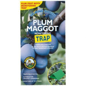 GS Plum Maggat Monitioring Trap