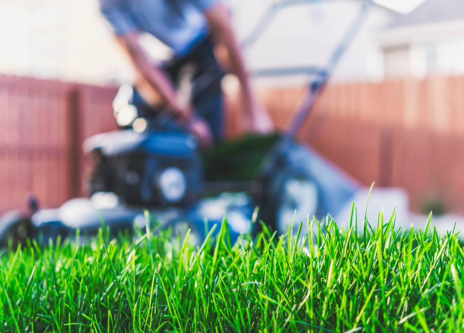 Buying a new lawnmower: Things to consider before making a mower purchase