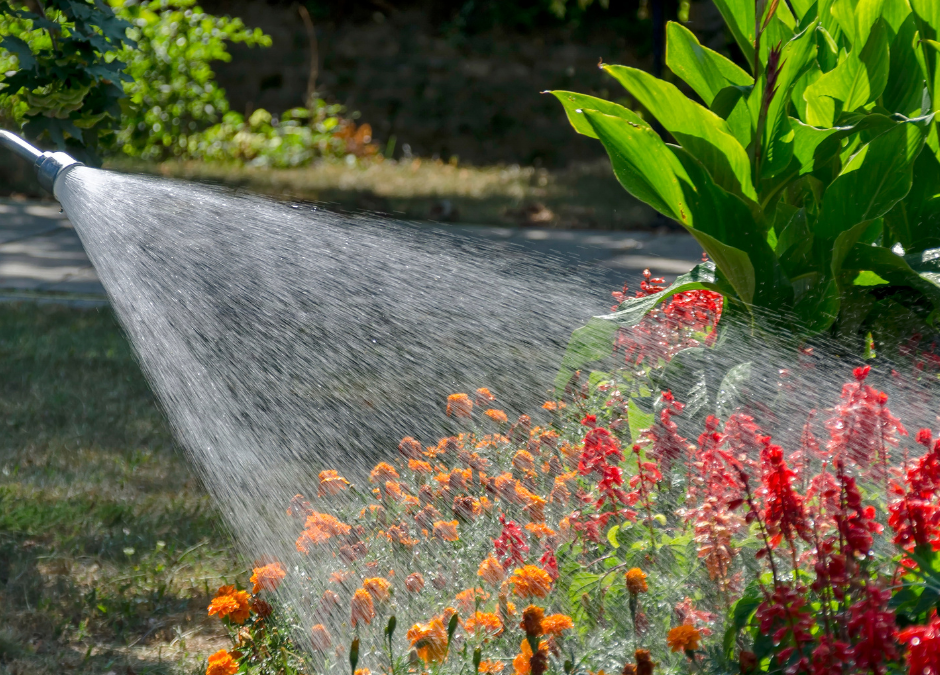 July is a great time to get gardening