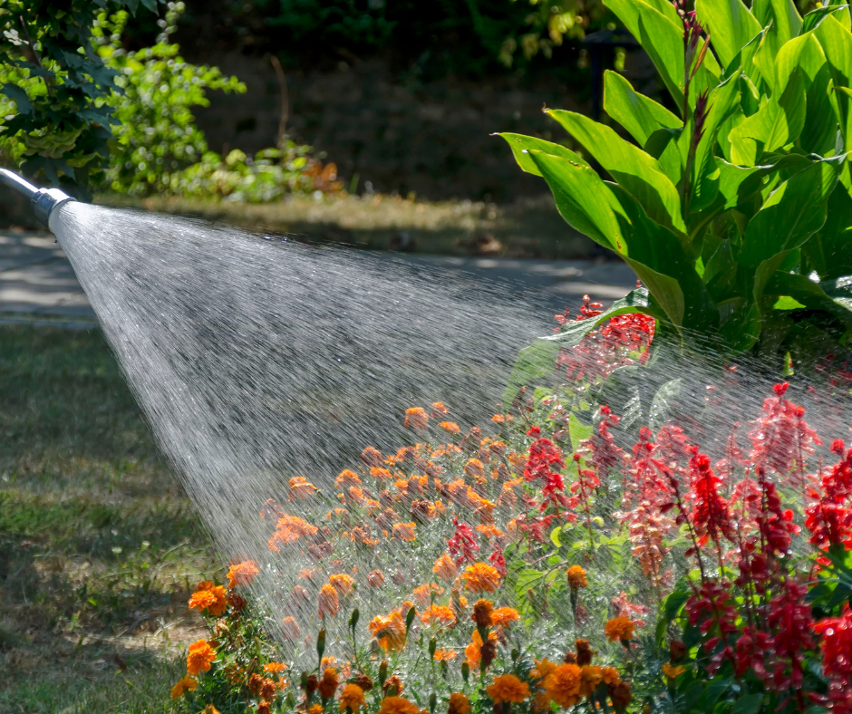 July garden jobs