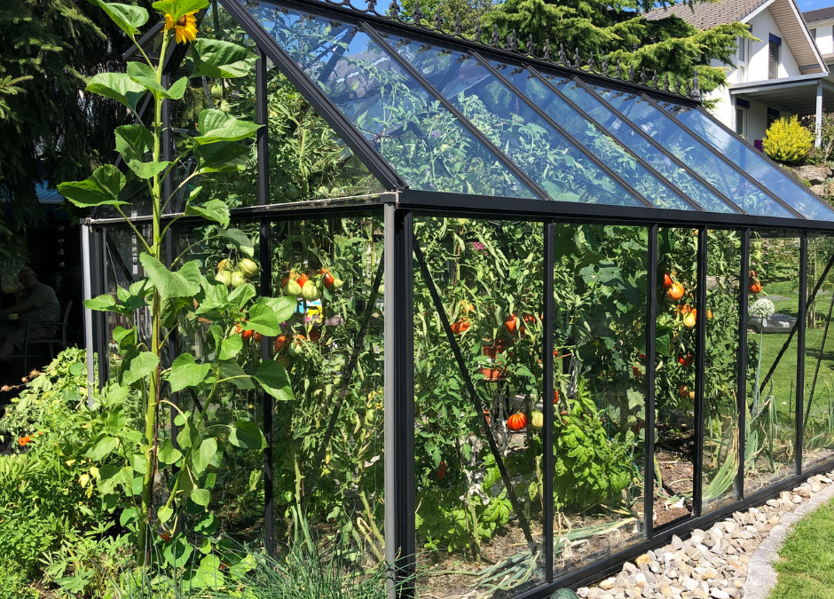 August is a busy month in the garden