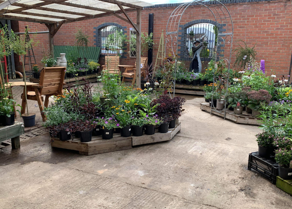 Have you seen what’s happening at Birchgrove?