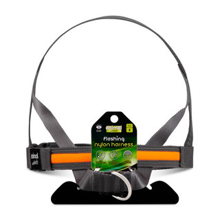 Flashing Nylon Harness Small