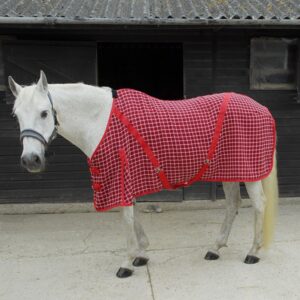Rhinegold Cooler Rug  5'0"  Red Check