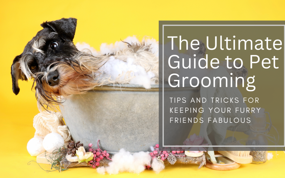 The Ultimate Guide to Pet Grooming: Tips and Tricks for Keeping Your Furry Friends Fabulous