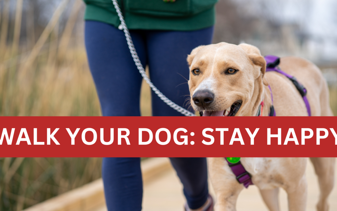 Celebrate Walk Your Dog Month: Bonding Through Walks