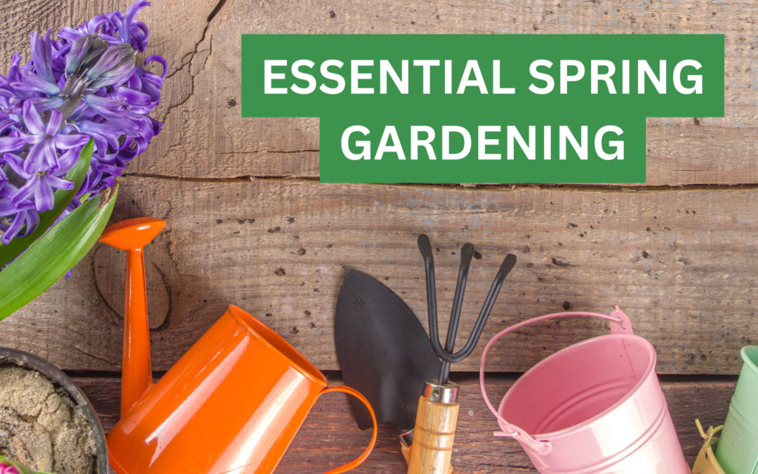 Five Essential Gardening Jobs to Do Right Now