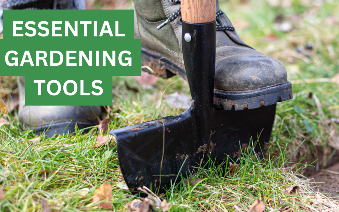 Essential Gardening Tools for Spring Success