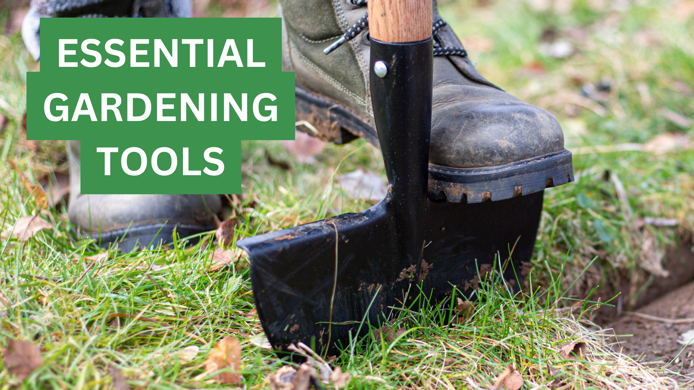 Essential Gardening Tools